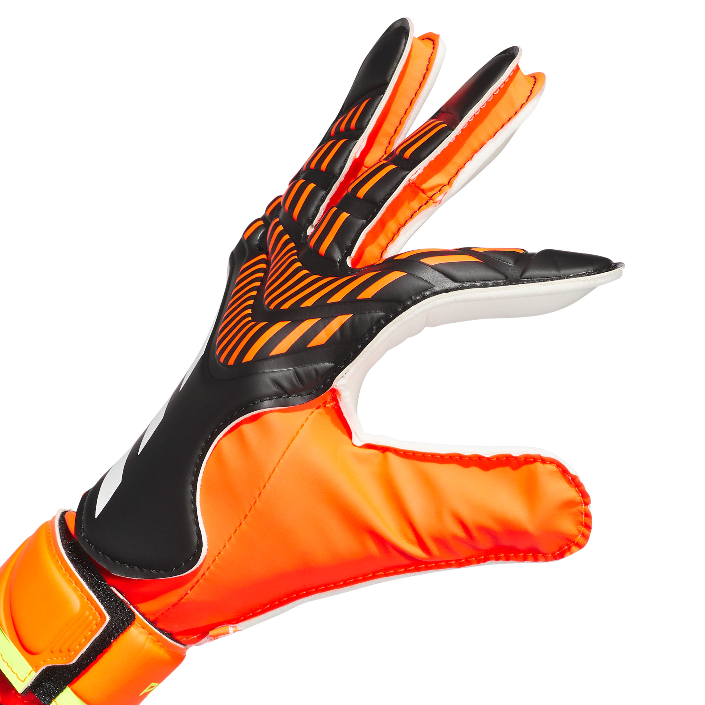 Senior Predator Train Goalkeeper Gloves